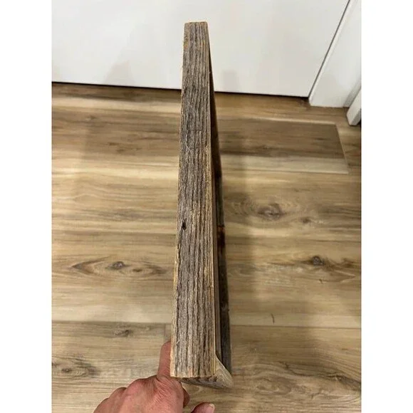 Vintage 1870 Alexander Francis Lydon Long Eared Owl Woodcut Framed Art Drawing - Picture 3 of 4